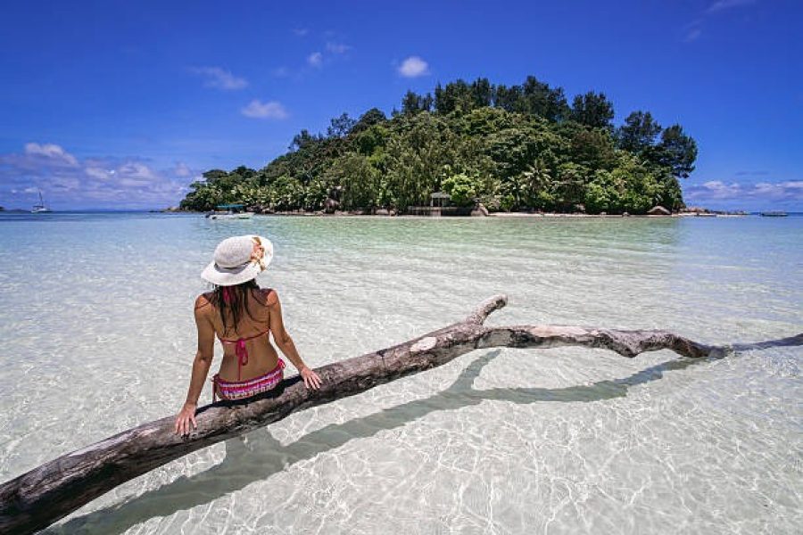 Seychelles Buddy Offer